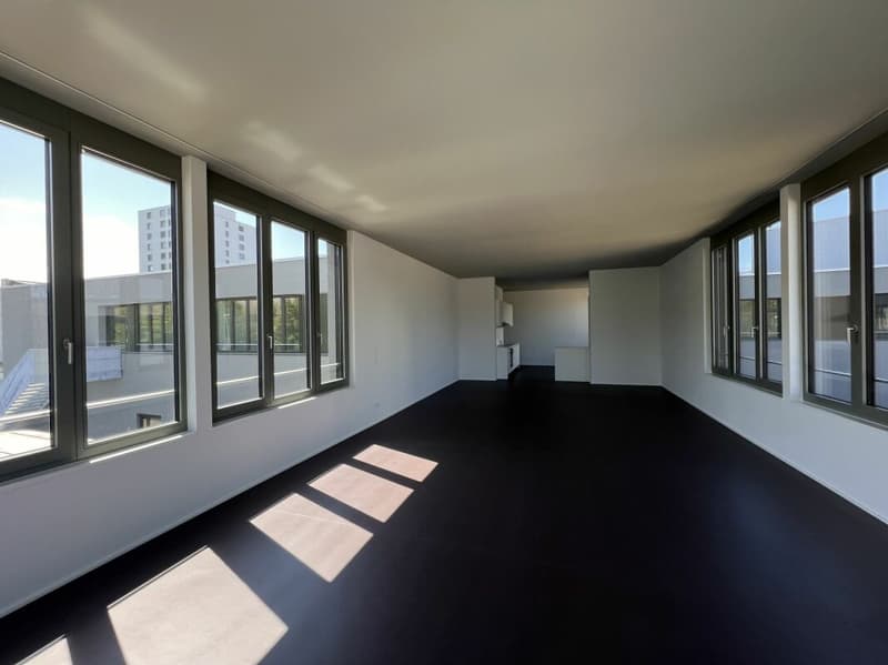 Elegantes Loft in bester Zentrumslage (4)