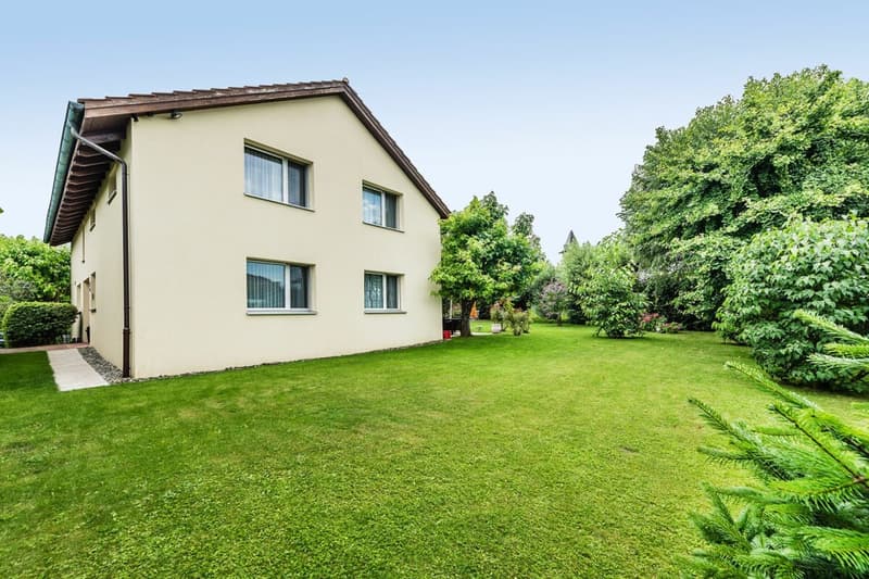 Vert, spacieux, et accueillant - Votre nouvelle maison (14)