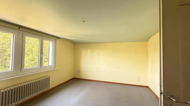 Sanierungsobjekt gesucht - jetzt gefunden. (6)