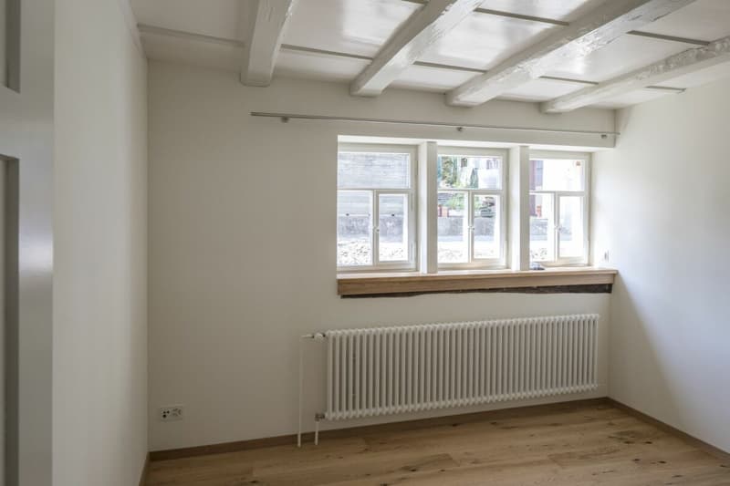 Historischer Charme trifft modernes Wohnen am See (5)