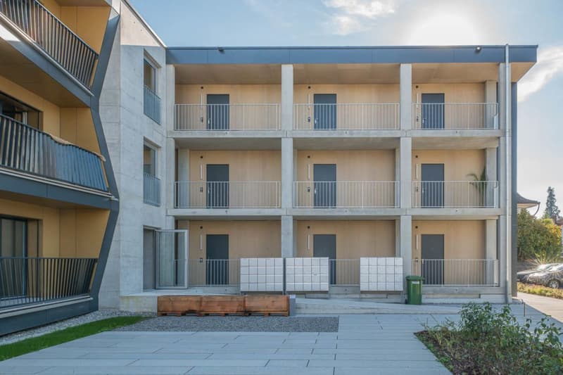 Erste eigene Wohnung? (4)