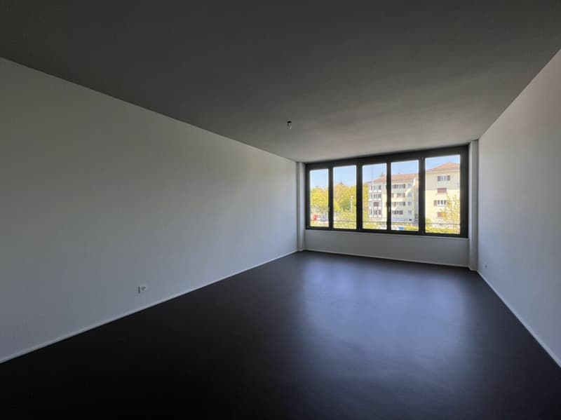 Moderne 1-Zimmer Stadtwohnung sucht neue Mieter (3)
