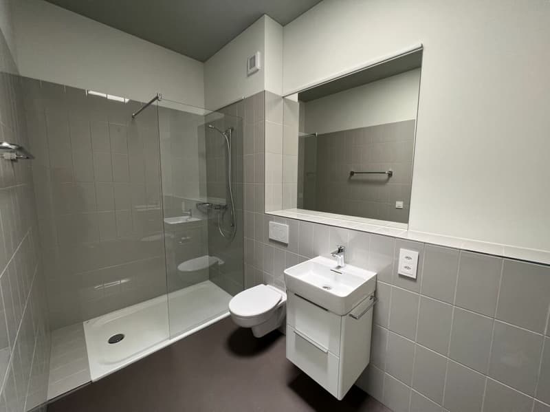Moderne 1-Zimmer Stadtwohnung sucht neue Mieter (4)