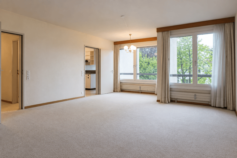 Bodensee im Blick, Natur vor der Tür - Wohnung zum Neugestalten (1)