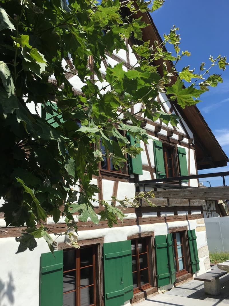 Half-timbered house, white and brown, green shutters, stone pathway, balcony, tree