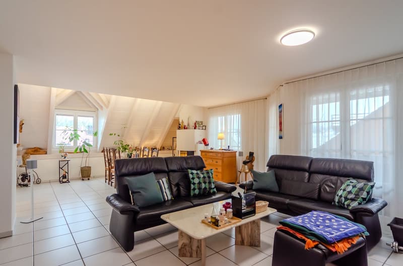 two sofas with cushions, coffee table, armchair, wooden cabinet, dining table, shelves with decorative items, lamps