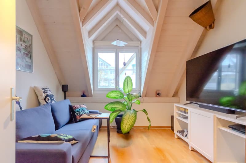 wooden floor, blue sofa, coffee table, TV, plant, window