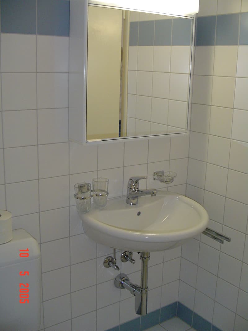 Charming 2.5-room apartment with balcony and beautiful view in Zurich-Oerlikon (7)