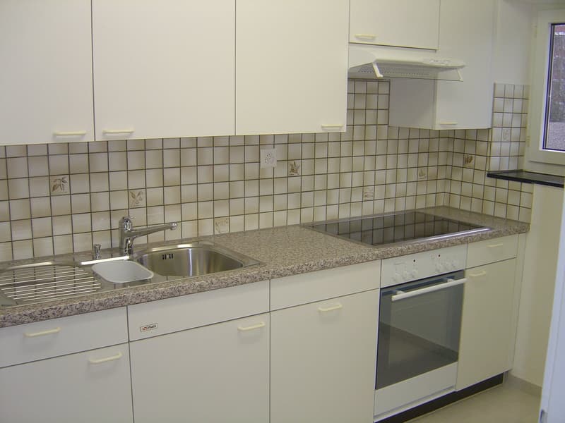 Charming 2.5-room apartment with balcony and beautiful view in Zurich-Oerlikon (6)