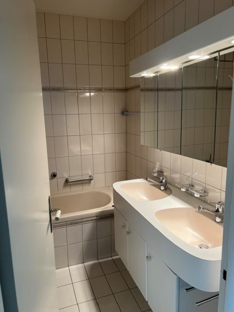 Bright 3-room apartment with large roof terrace in Zürich-Oerlikon (10)