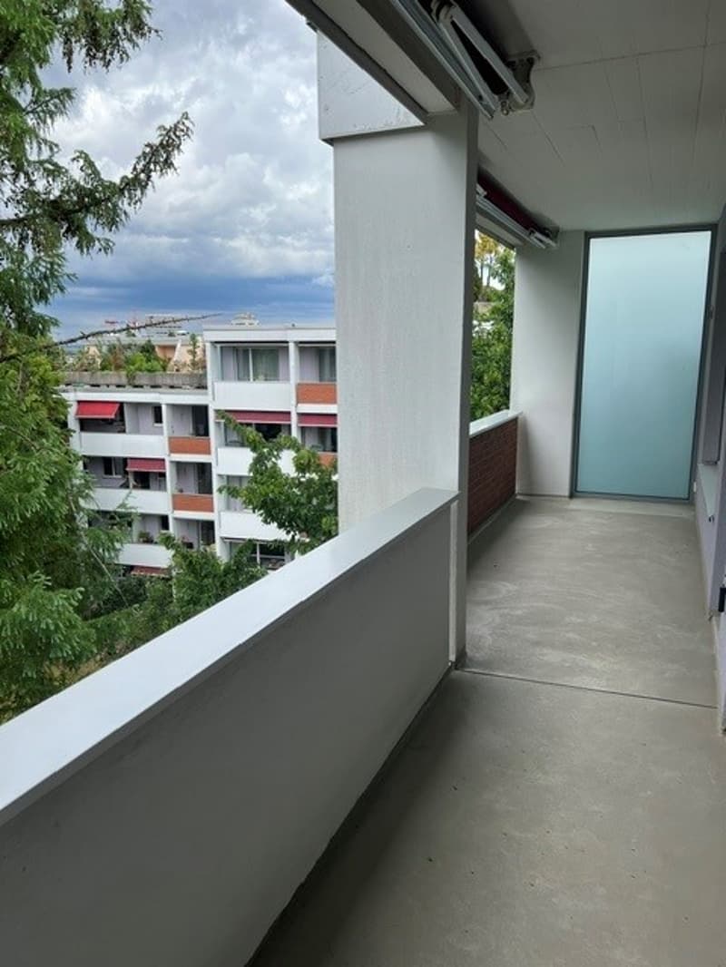 Bright 3-room apartment with large roof terrace in Zürich-Oerlikon (8)