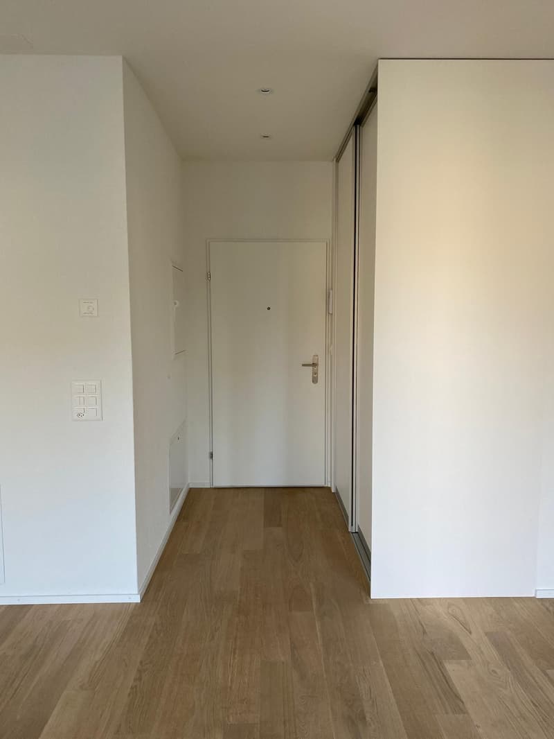 Habitation exclusive en qualité de propriété - appartement de 2,5 pièces neuf à Zürich-Seebach (5)