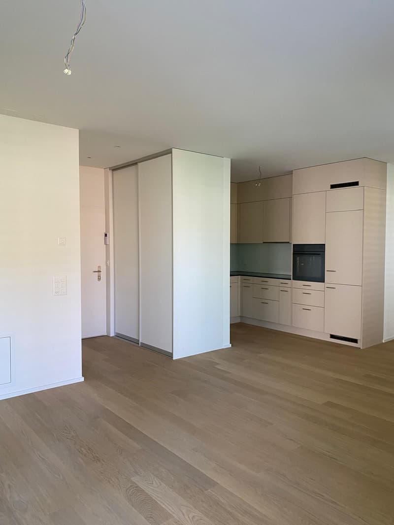 Exclusive living in owner-occupied quality - 2.5 room new apartment in Zürich-Seebach (2)