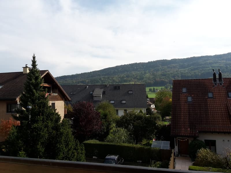 Grosszügige Wohnung im Schmittendörfli (2)