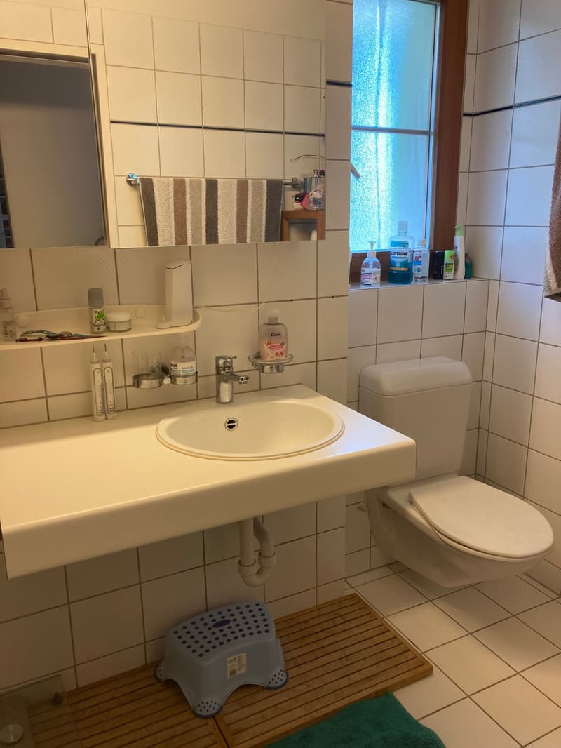 Grosszügige Wohnung im Schmittendörfli (7)