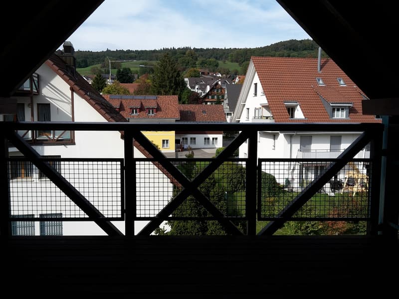 Attraktive Maisonette-Wohnung (8)