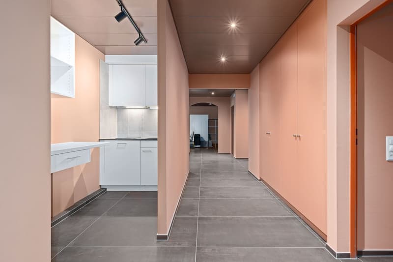 Locaux commerciaux à l'Oerlikonerstrasse 47 à Zurich (8)