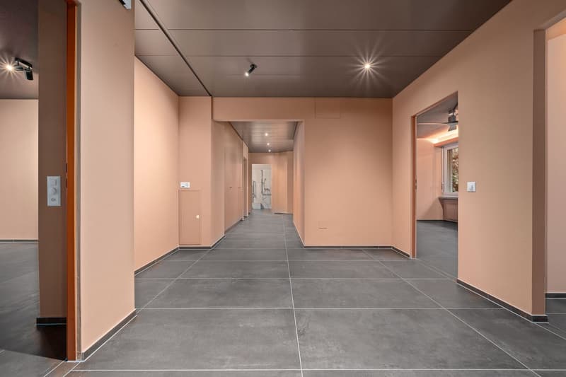 Locaux commerciaux à l'Oerlikonerstrasse 47 à Zurich (6)