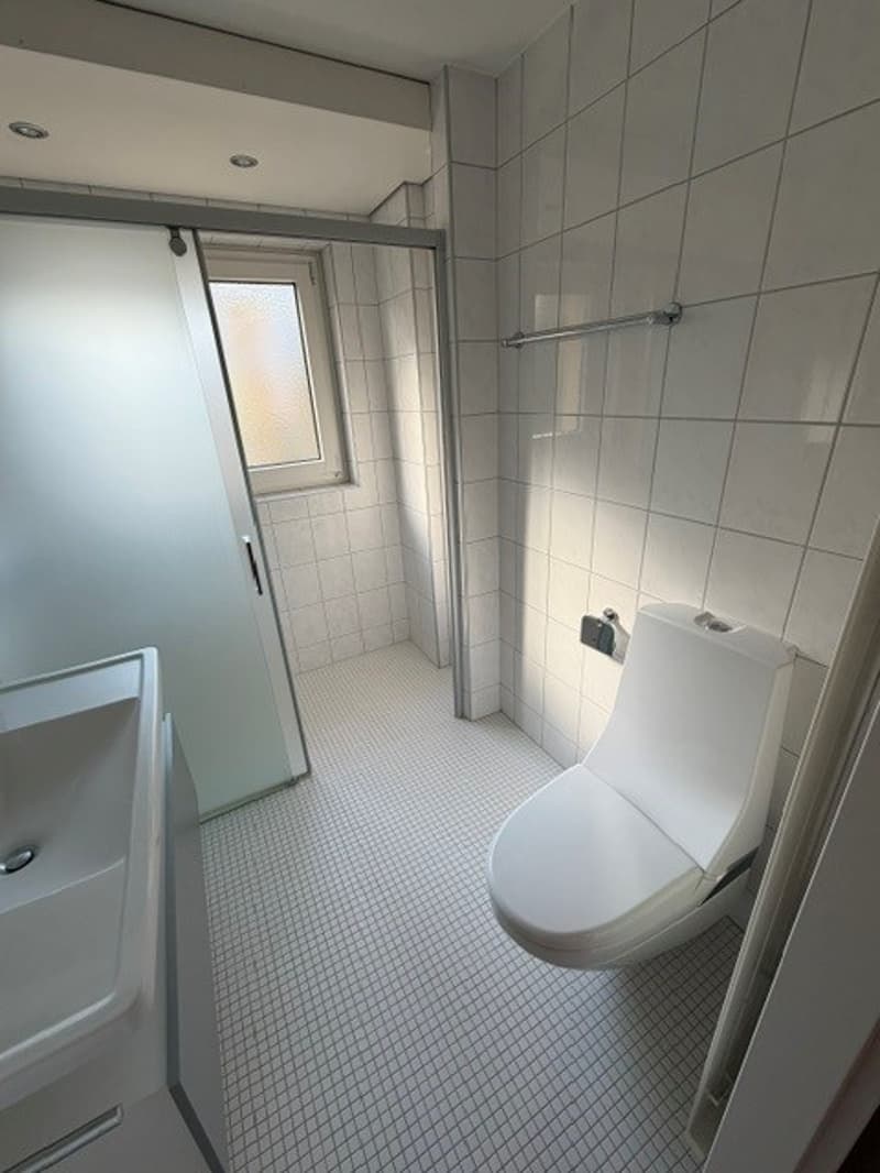 Idyllische 4.5-Zimmer-Wohnung mit Balkon und Garagenbox in Oberhasli (15)