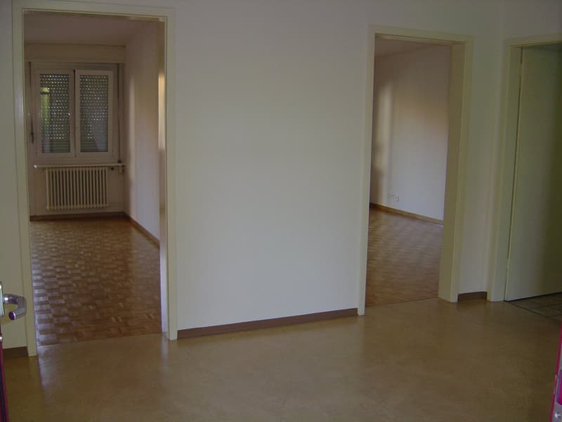 Helle 2.5-Zimmer-Wohnung mit Balkon in Zürich-Oerlikon (4)