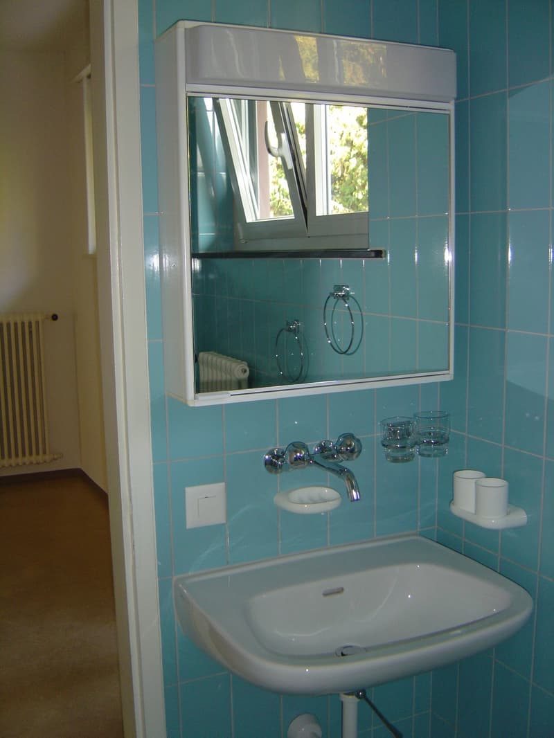 Helle 2.5-Zimmer-Wohnung mit Balkon in Zürich-Oerlikon (7)
