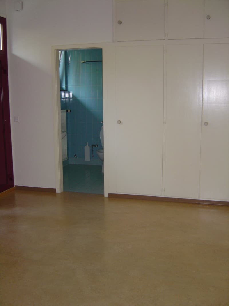 Helle 2.5-Zimmer-Wohnung mit Balkon in Zürich-Oerlikon (3)
