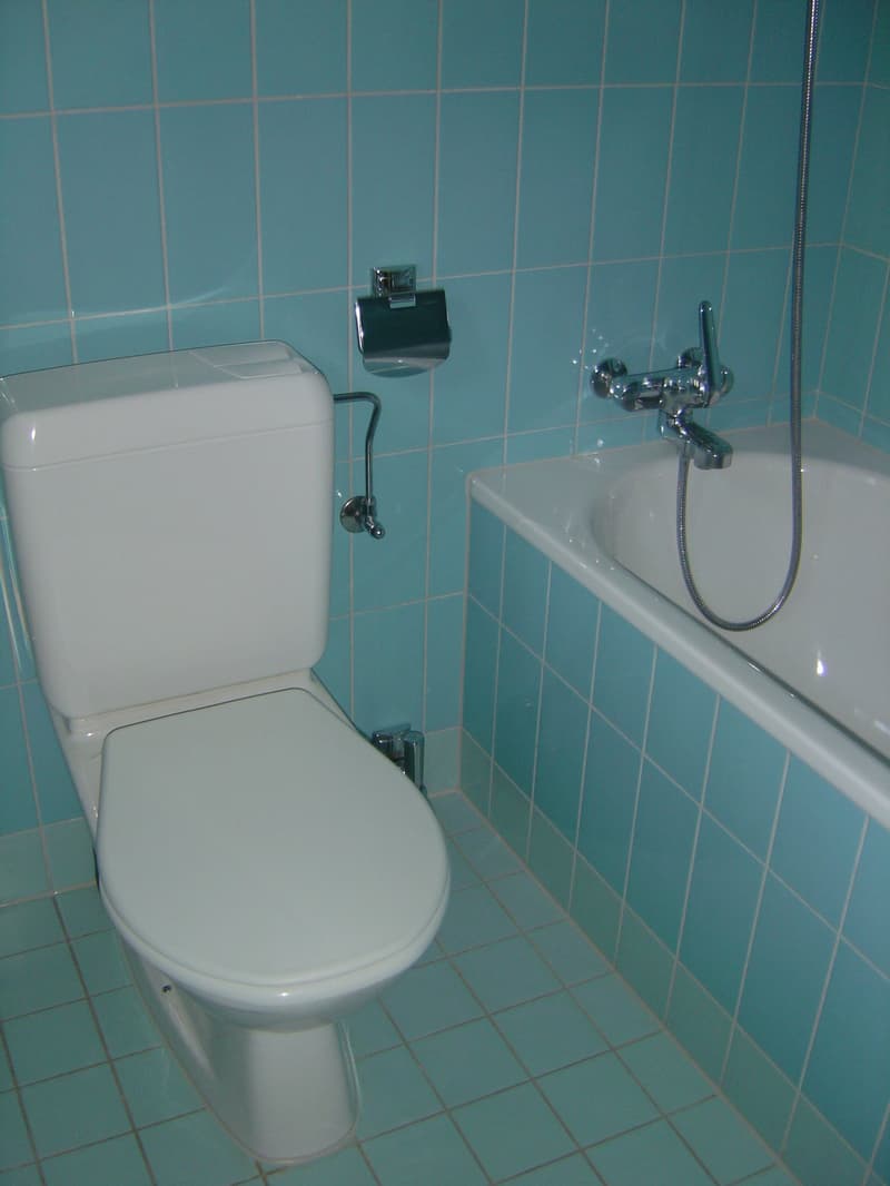 Helle 2.5-Zimmer-Wohnung mit Balkon in Zürich-Oerlikon (8)
