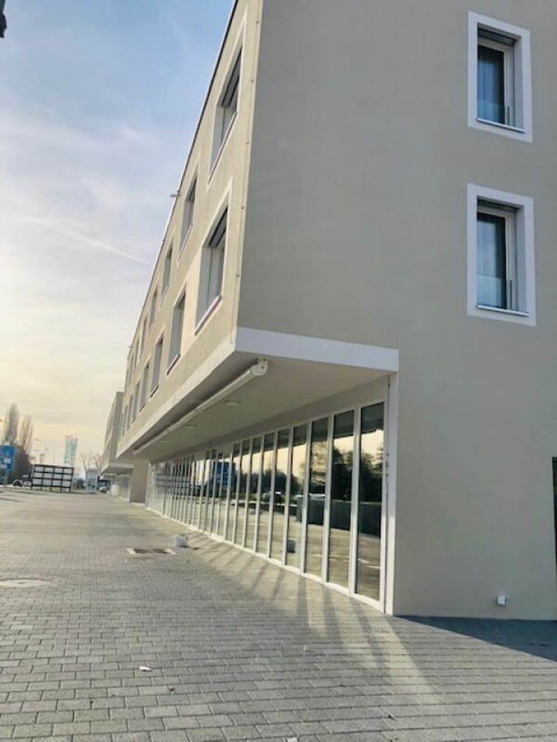Architekturbüro /Geschäftsflächen im Gewerbezentrum Au Milavy 95m2 (4)