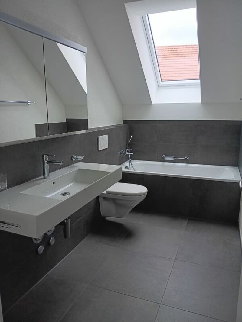 Traumhafte 5.5- Zi- Dachwohnung mit Galerie in der neuen Überbauung "Hübsche Mätteli" an ruhiger und zentraler Lage (4)