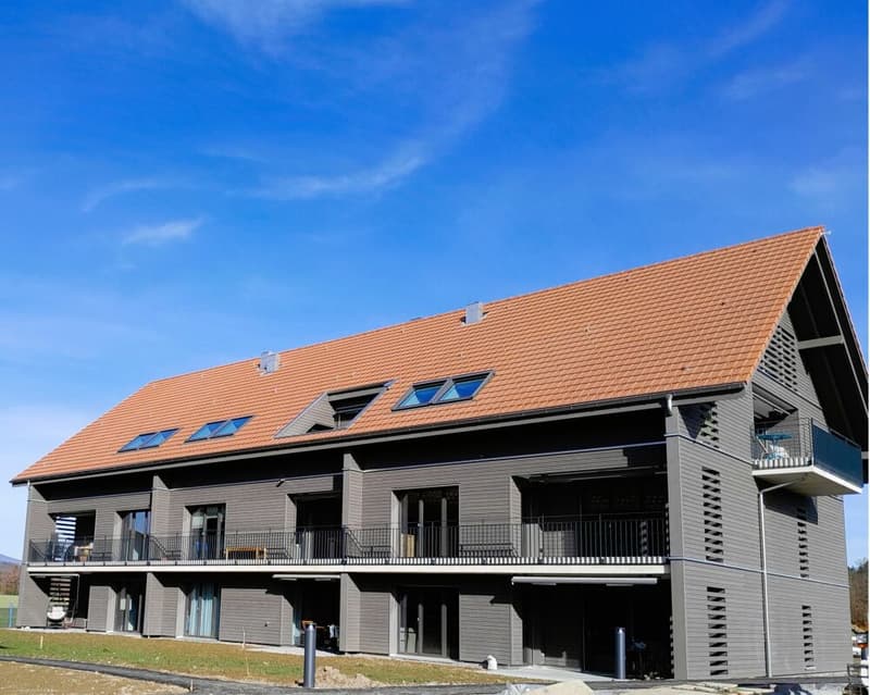 Traumhafte 5.5- Zi- Dachwohnung mit Galerie in der neuen Überbauung "Hübsche Mätteli" an ruhiger und zentraler Lage (13)