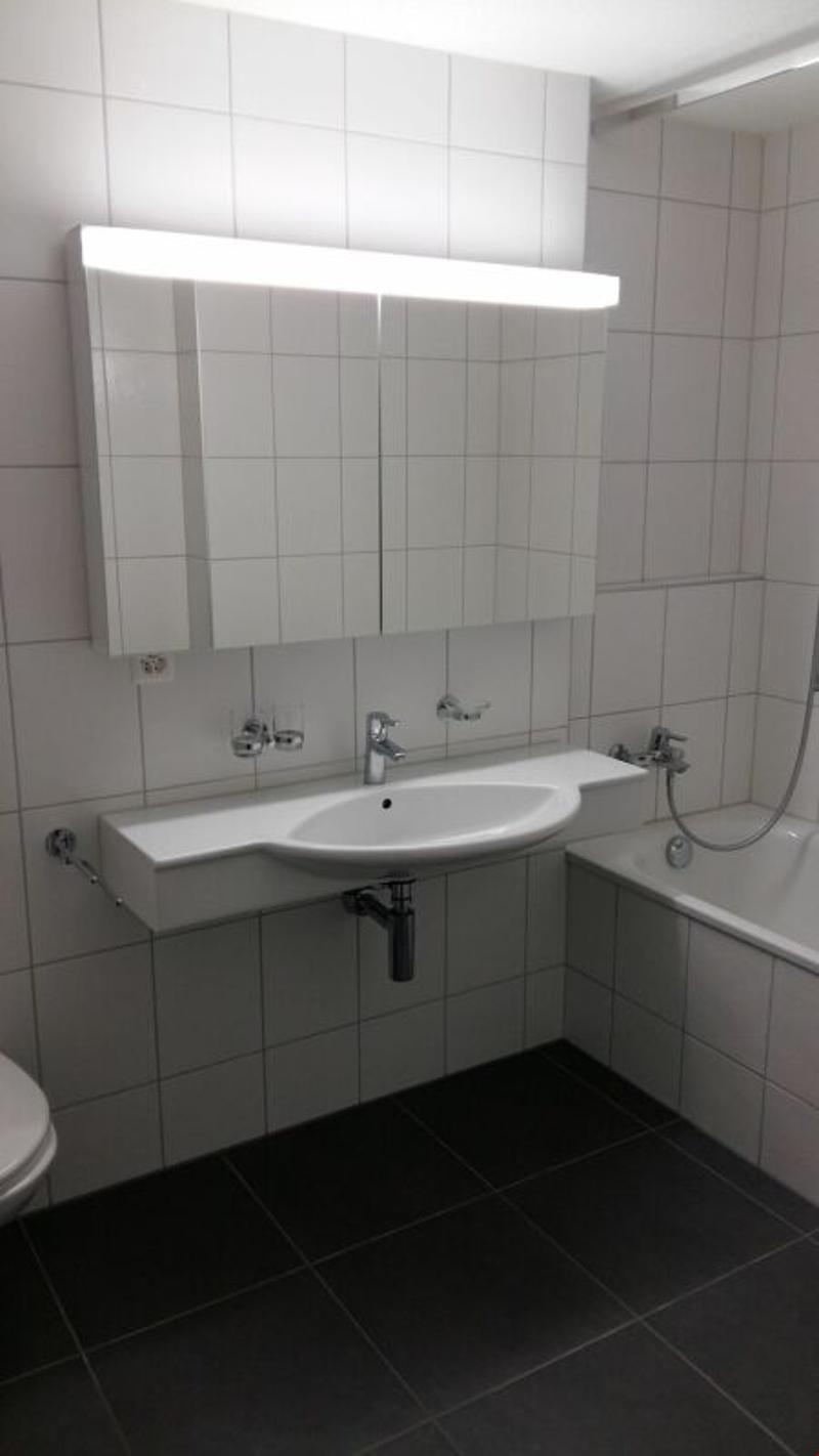 Appartement 3 1/2 pièces de première classe à Ins (3)