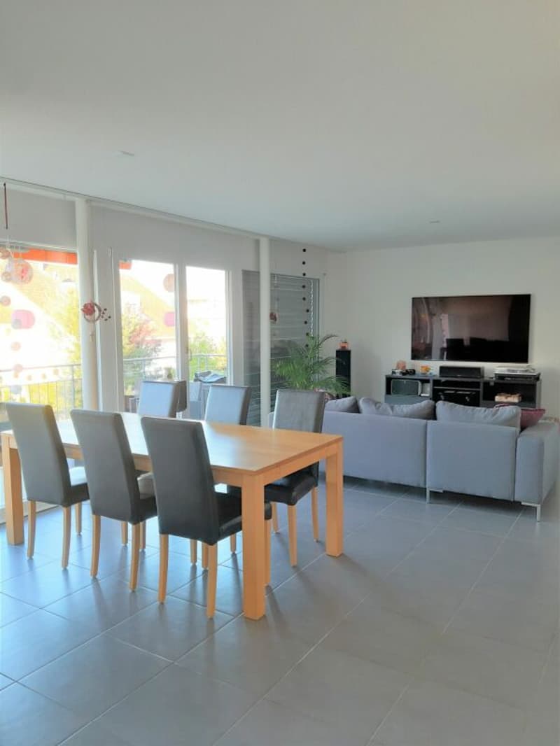 Appartement 3 1/2 pièces de première classe à Ins (4)