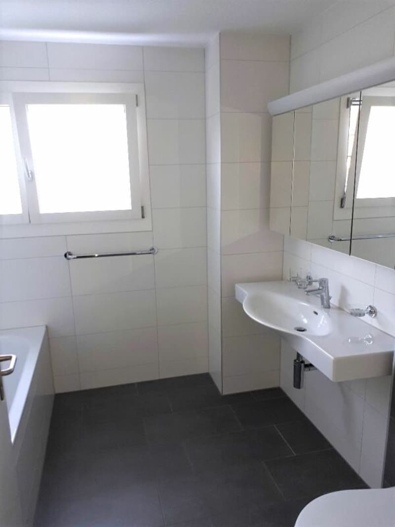 Spacious semi-detached house adjacent to the agricultural zone (3)