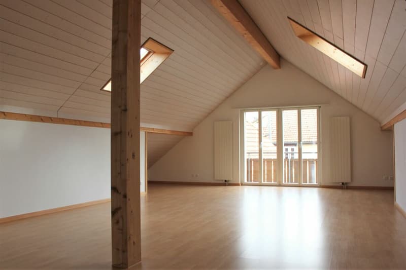 4.5 Zimmer, 128m2, Dachwohnung (2)