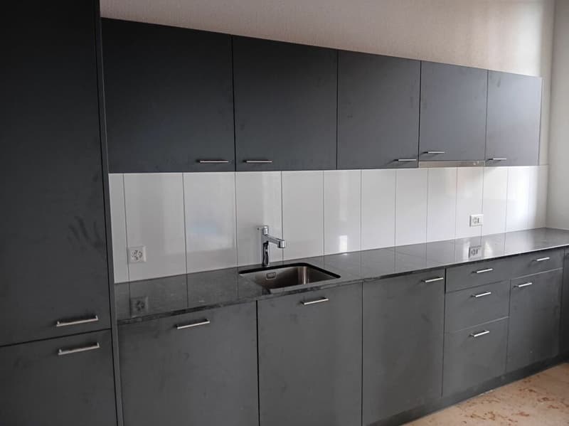 Wunderschöne renovierte 4.5 Zimmer Wohnung (1)