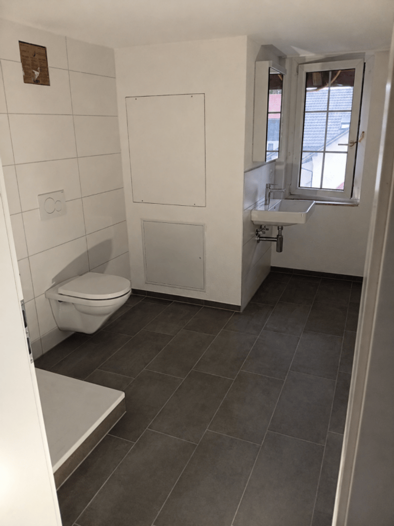 Wunderschöne renovierte 3.5 Zimmer Wohnung (5)