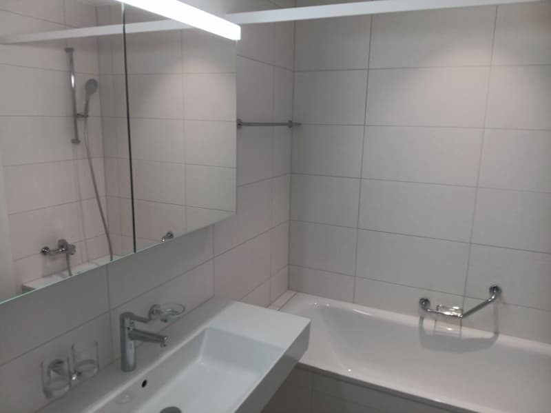 Moderne 4.5-Zimmerwohnung Au Milavy in Avenches (9)