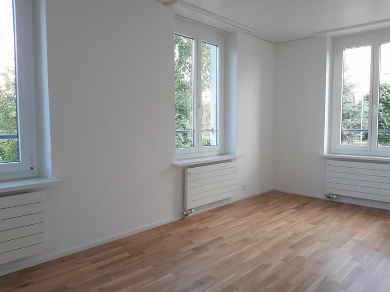 Moderne 3.5 Zimmer Wohnung mit Ankleideraum (5)