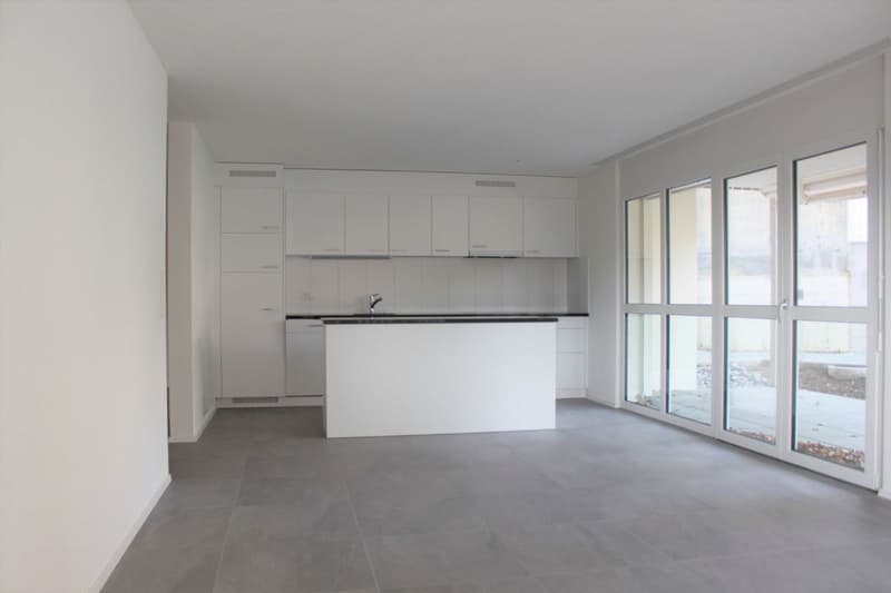 moderne 3.5-Zimmer Parterrewohnung 87m2 (1)