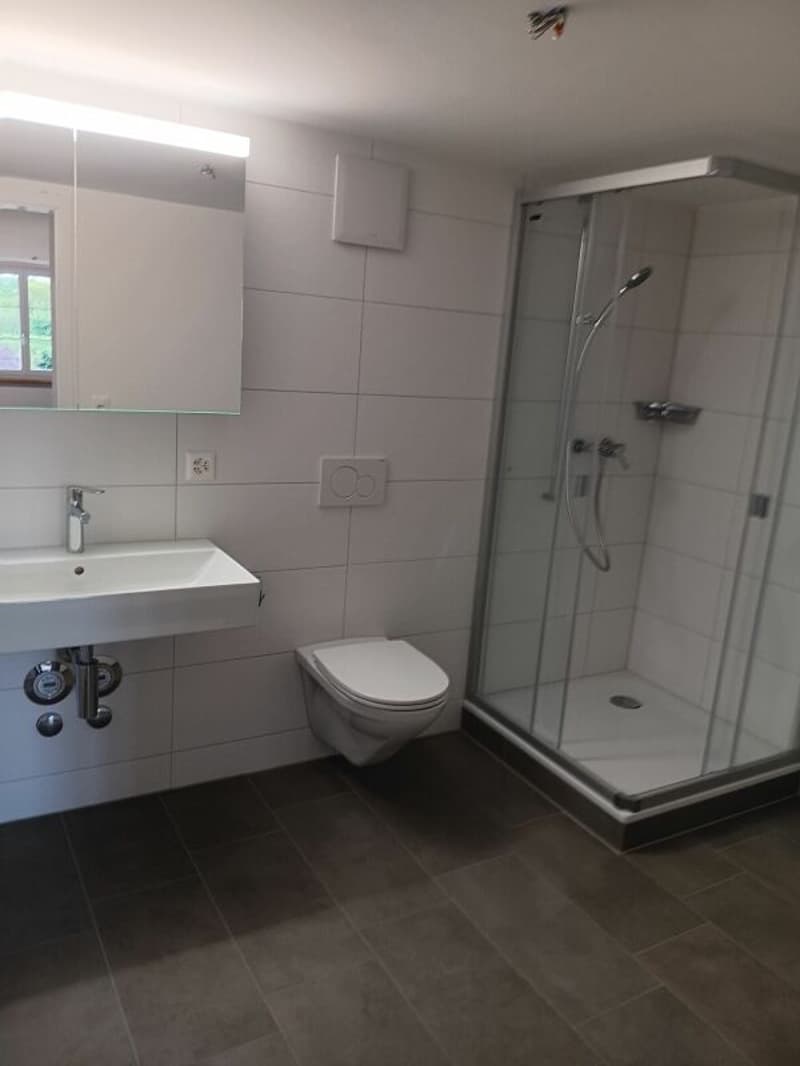 Wunderschöne renovierte 3.5 Zimmer Wohnung (5)