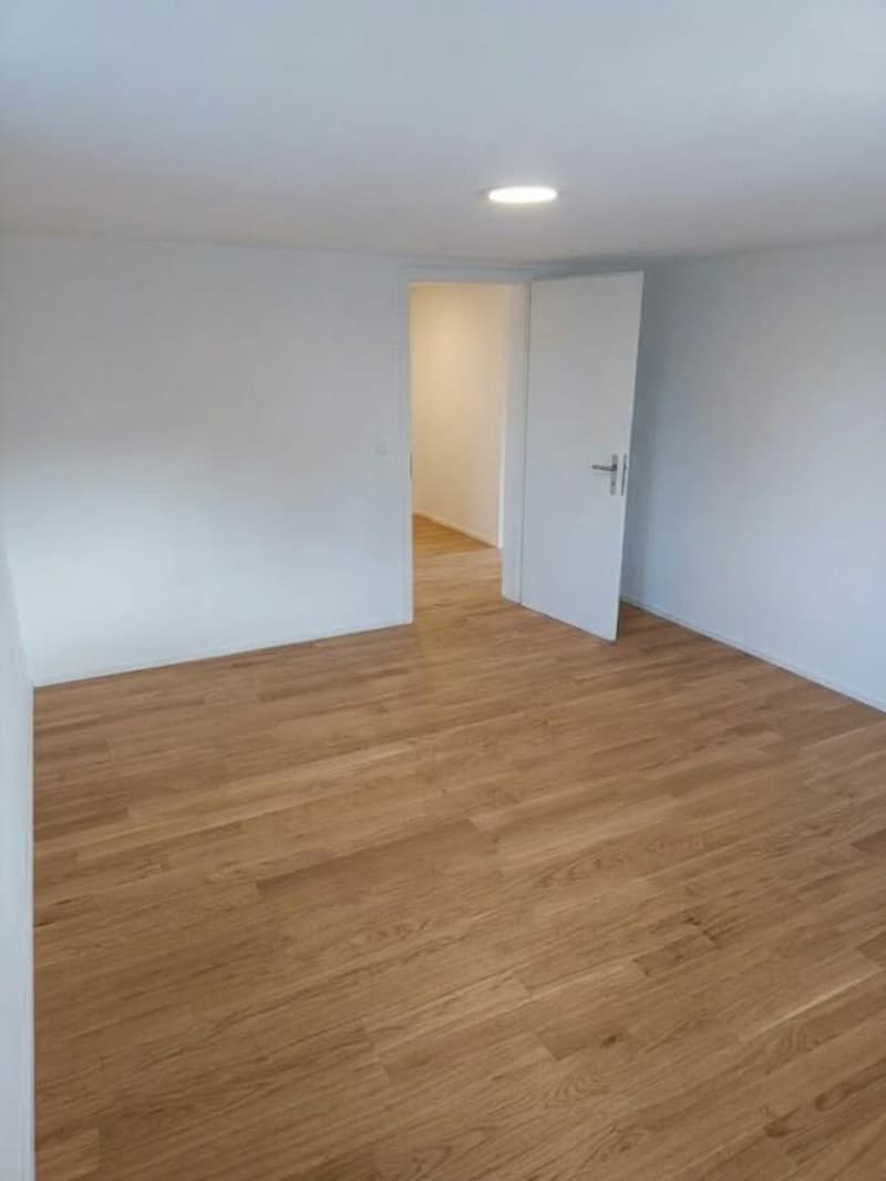 Wunderschöne renovierte 3.5 Zimmer Wohnung (6)