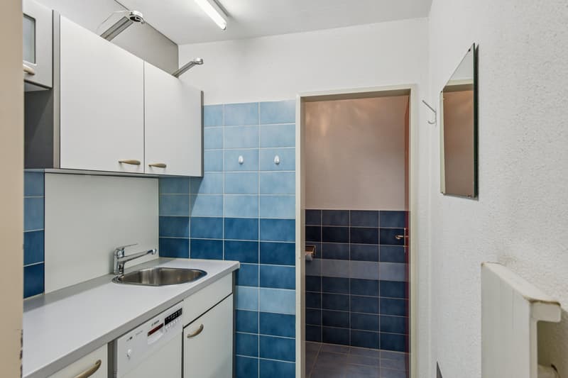 Gewerbe/Ladenfläche mit Schaufenster an bester Lage in Bremgarten (13)