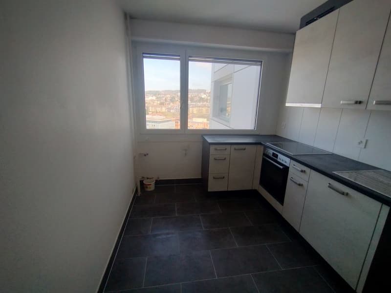 Nel centro di Malley, splendido appartamento ristrutturato con balcone e vista (6)
