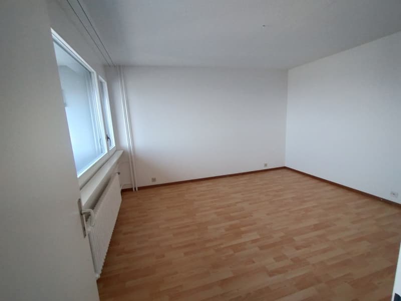 Nel centro di Malley, splendido appartamento ristrutturato con balcone e vista (10)