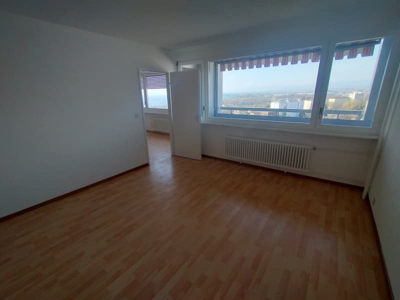 Nel centro di Malley, splendido appartamento ristrutturato con balcone e vista (9)