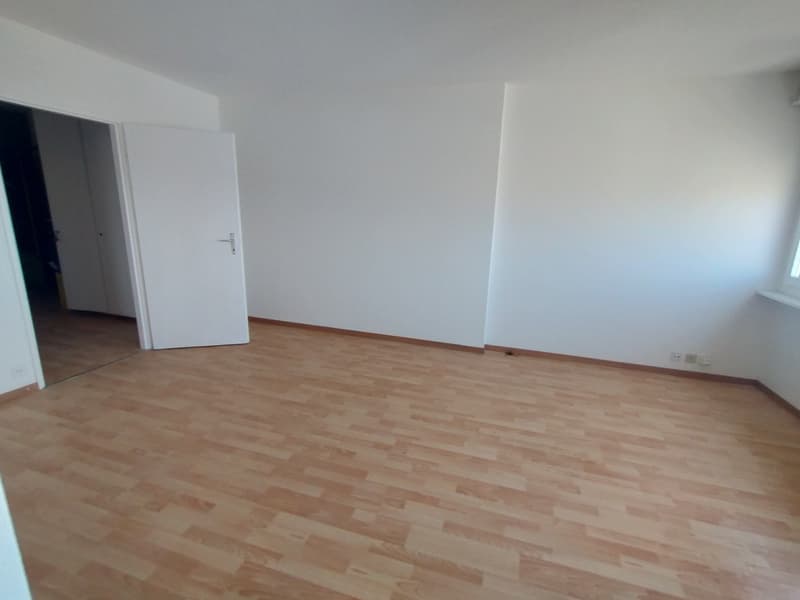 Nel centro di Malley, splendido appartamento ristrutturato con balcone e vista (7)