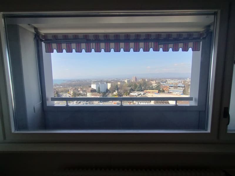 Nel centro di Malley, splendido appartamento ristrutturato con balcone e vista (3)