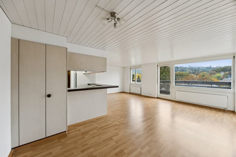 grosszügiger Layout - super Lage - grosser Balkon (7)