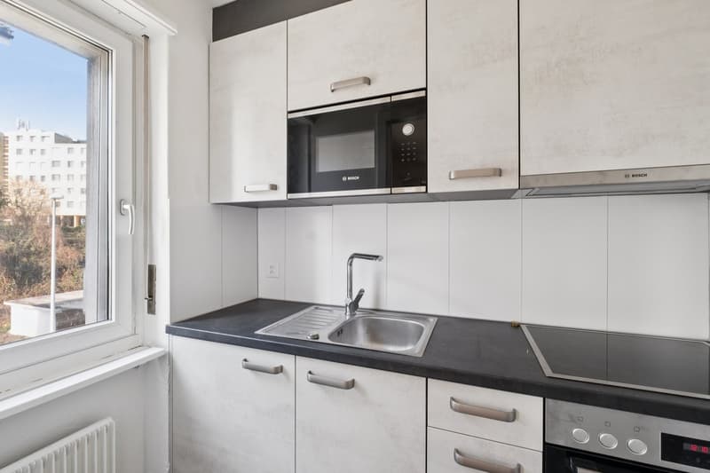 Renovated one-room apartment (2)