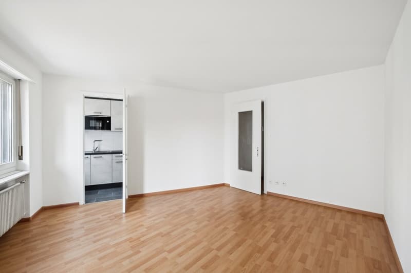 Renovated one-room apartment (4)